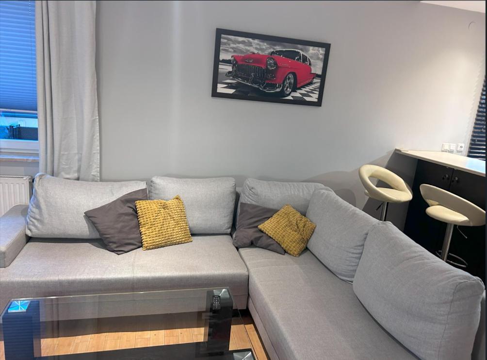 Apartament W Wesolej 华沙 外观 照片